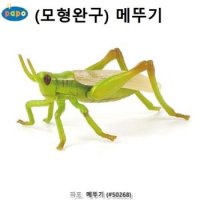 동물 피규어 모형완구 메뚜기