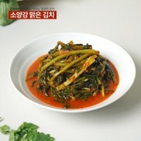 강원도 김치 소양강 맑은 김치 열무김치 500g,3kg,5kg,10kg