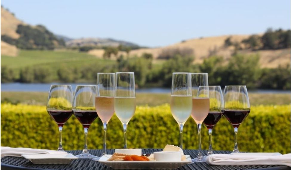 Napa Valley Winery Tour (나파 밸리 와이너리 투어)