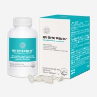 메타포뮬러 메타 젖산마그네슘 B6 670mg x 120캡슐