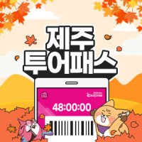 제주투어패스 프리패스 자유이용권 / 여행 관광지 체험 액티비티 우도 여객선 승마 카트 공연 패키지