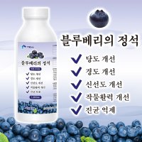 블루베리의정석 1L 블루베리비료 거름영양제 퇴비전용