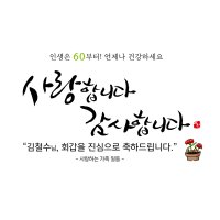 카네이션 문구 중형 150x90 회갑 환갑 칠순 현수막