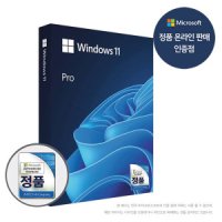 마이크로소프트 Windows 11 Pro FPP 정품USB  온라인공인인증점
