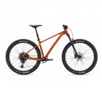 자이언트 페덤 29 1  MTB 자전거 2022년