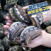 바보공구 대장전복 1kg