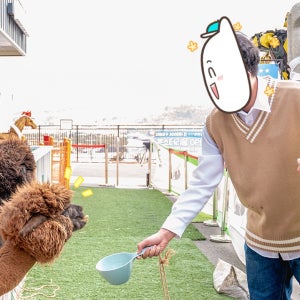 몬스터리움 할인 입장권 김포 실내 동물원 이색 놀거리 2인 주말