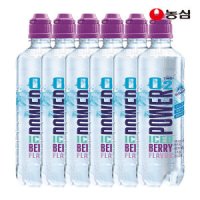 파워오투 파워오투 아이스베리 500ml 6입 1개