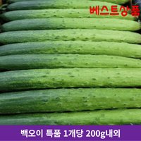 백오이 백다다기오이 오이소박이용 야채샐러드 특상품 가락시장당일상품 DR market  백오이 특품 1개당 200g 내외  50개