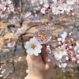 꽃바람, Sleek glass