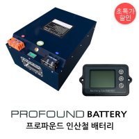 프로파운드 인산철 배터리 적산계포함 캠핑카 12V600A