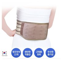 이원건강의료기 국산 의료용 자석 허리 복대 벨트 보호대 C M