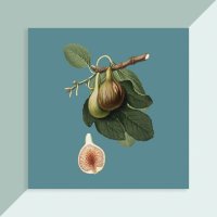 디자인바운스 fruit1 021 빈티지 과일1 세미액자 시리즈 8x8