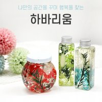 프리저브드 드라이플라워 DIY 하바리움 만들기  사각하바리움(핑크)