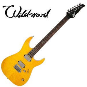 [스쿨뮤직]Wildwood WD-DTM (Lemon)