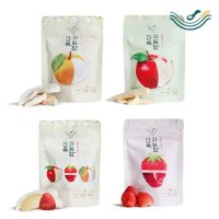 [신세계백화점][대전신세계] [산골이유식] 산골 과일칩 16봉 패키지 사과 딸기 배 혼합