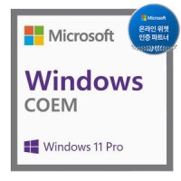마이크로소프트 MS 윈도우 11 Pro DSP 정품 Windows11 Pro (LW)