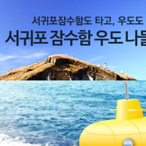 제주도버스투어패키지 무지개해안도로 카멜리아힐 서귀포잠수함 우도탐방 단체관광