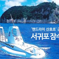 제주도버스투어 2박3일 제주도여행 무지개해안도로 맨드라미 산호초 군락지 서귀포잠수함 우도탐방 단체관광