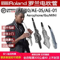 전자색소폰 입문용색소폰 초보자용 롤랜드 AE10 Aerophone AE-10G