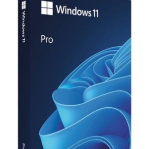 [마이크로소프트] Windows 11 Pro 처음사용자용 패키지(FPP) [한글/USB타입]