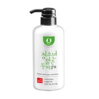 솔다인 청소년 맑은두피 샴푸 500g