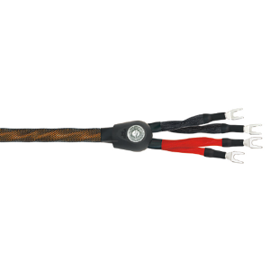 Wireworld Eclipse 8 Speaker Cable (와이어월드 이클립스 8 스피커 케이블)