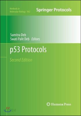 P53 Protocols