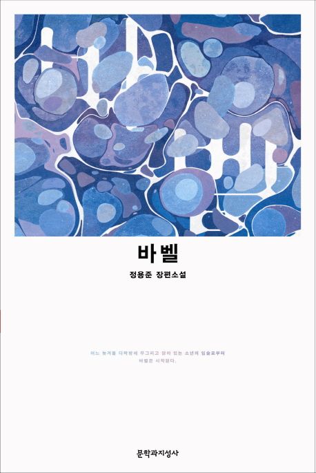 바벨  : 정용준 장편소설