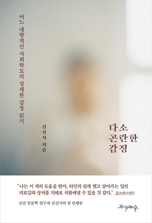 다소 곤란한 감정  : 어느 내향적인 사회학도의 섬세한 감정 읽기 / 김신식 지음