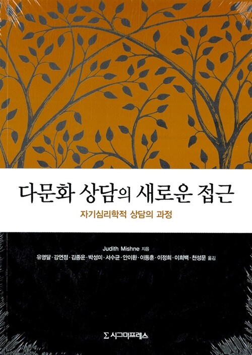 다문화 상담의 새로운 접근  : 자기심리학적 상담의 과정
