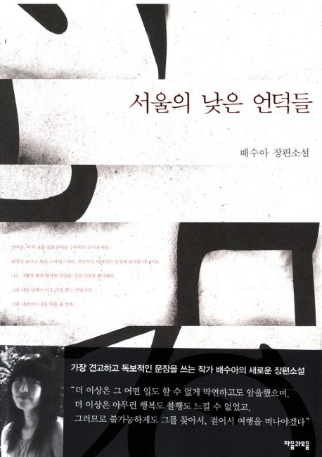서울의 낮은 언덕들 - [전자책]  : 배수아 장편소설 / 배수아 지음