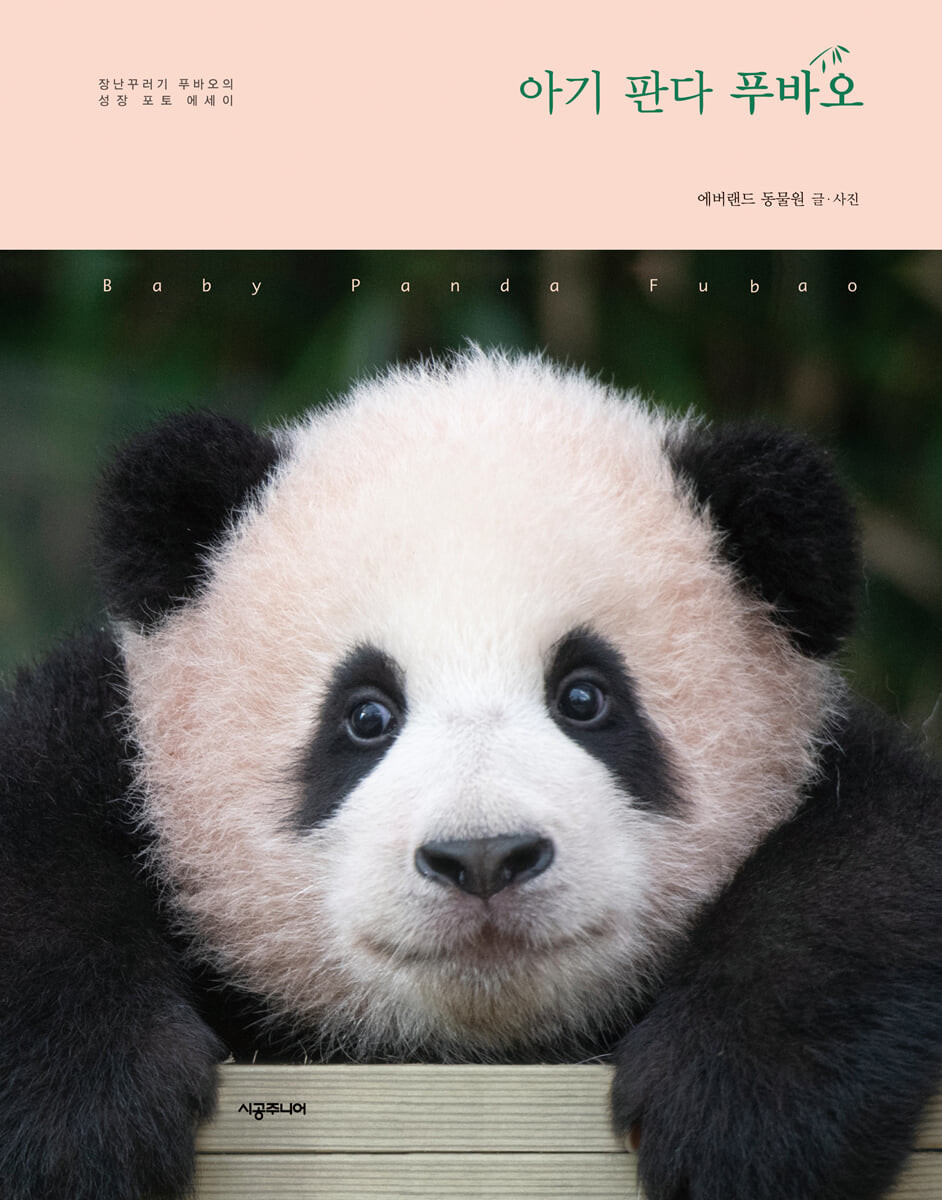 아기 <span>판</span><span>다</span> 푸바오 = Baby panda Fubao : 장난꾸러기 푸바오의 성장 포토 에세이