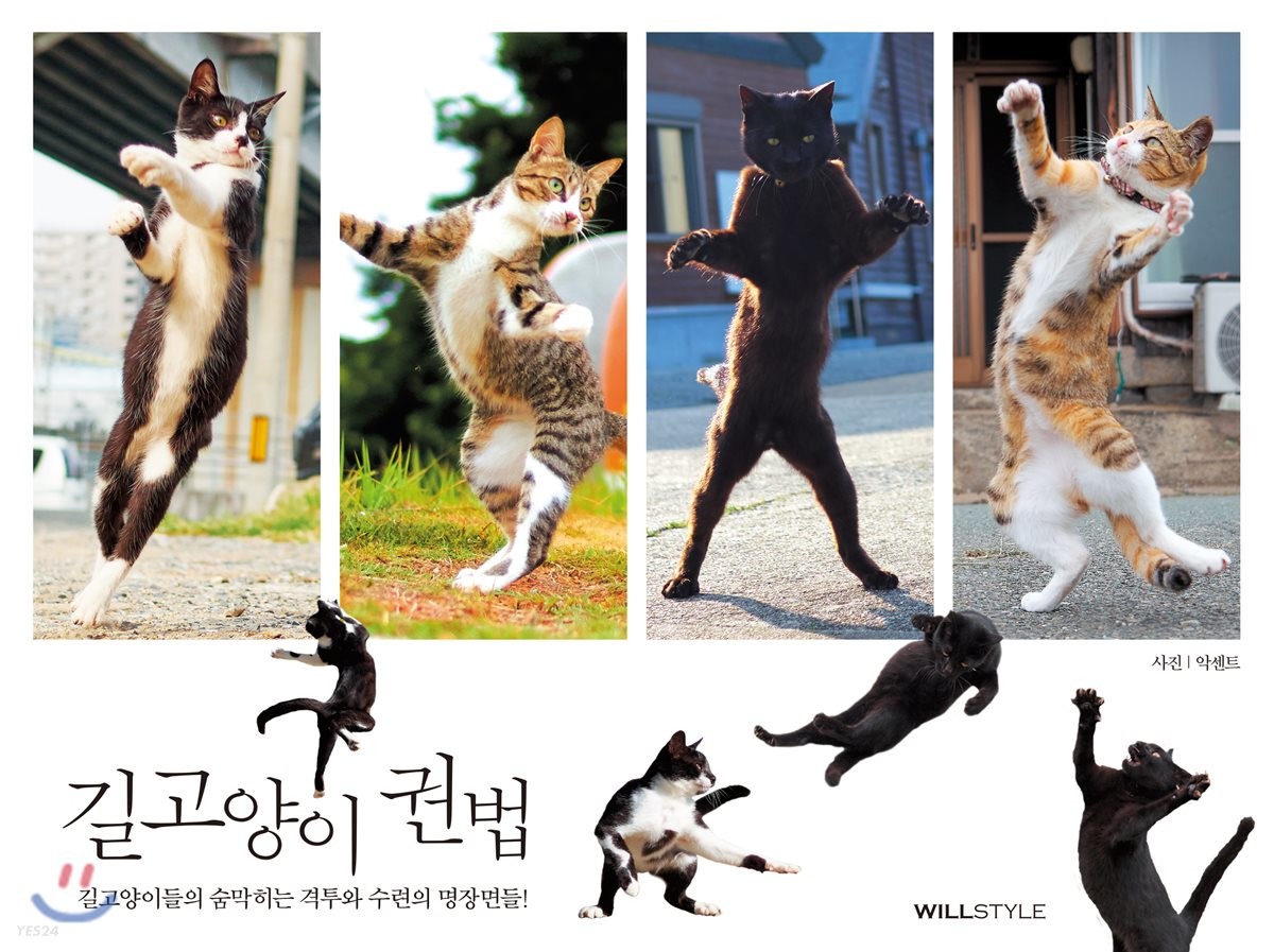 길고양이 권법 : 길고양이들의 숨막히는 격투와 수련의 명장면들