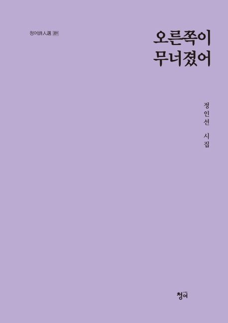오른쪽이 무너졌어- [전자책] : 정인선 시집