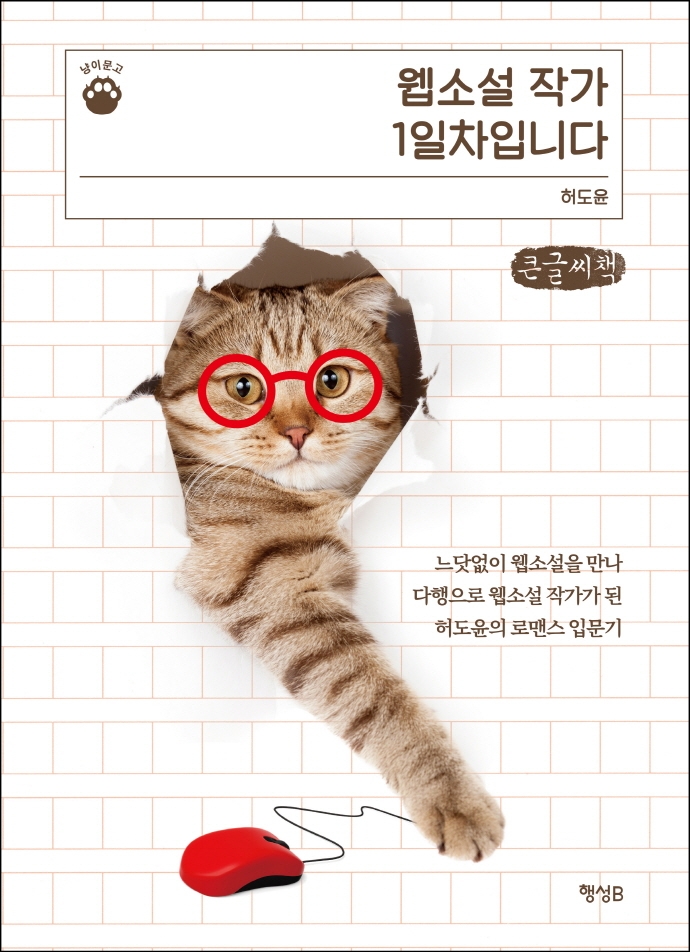 웹소설 작가 1일차입니다(큰글씨책) (느닷없이 웹소설을 만나 다행으로 웹소설 작가가 된 허도윤의 로맨스 입문기)