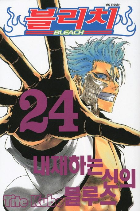 블리치 = Bleach. 24 : 내재하는 신의 블루스 / Tite Kubo 저 ; 오경화 번역