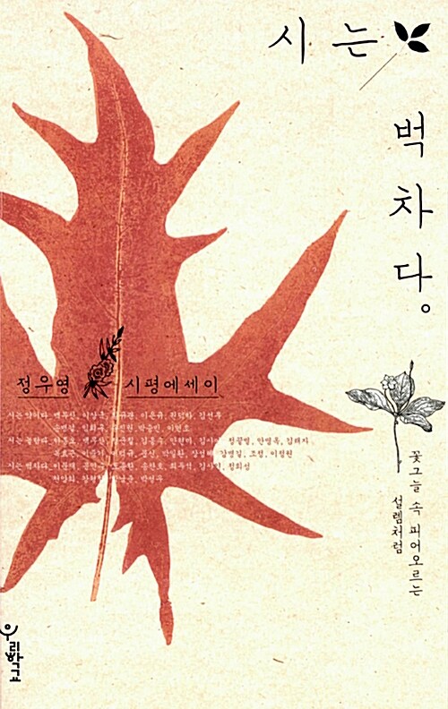 시는 벅차다 : 정우영 시평에세이