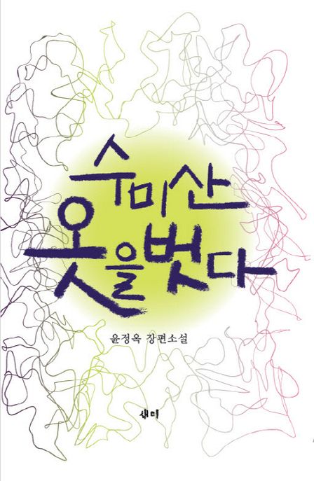 수미산 옷을 벗다 : 윤정옥 장편소설
