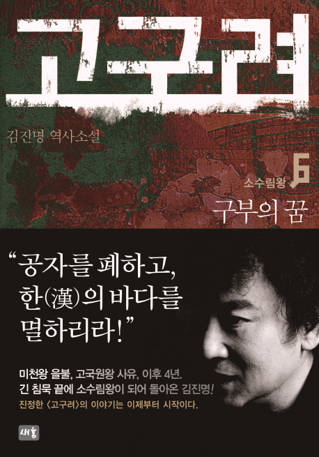 고구려 : 김진명 역사소설. 6 소수림왕-구부의 꿈