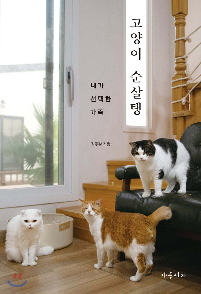고양이 순살탱 : 내가 선택한 가족