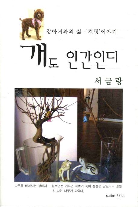 개도 인간인디 (강아지와의 삶 컬링 이야기)