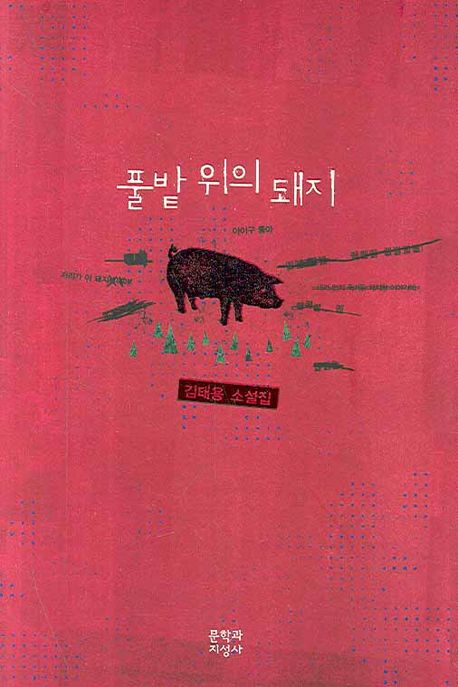 풀밭 위의 돼지 : 김태용 소설집