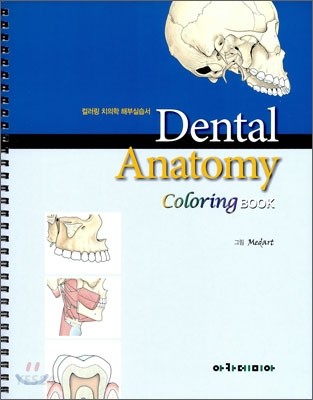 Dental Anatomy Coloring BOOK (컬러링 치의학 해부실습서)