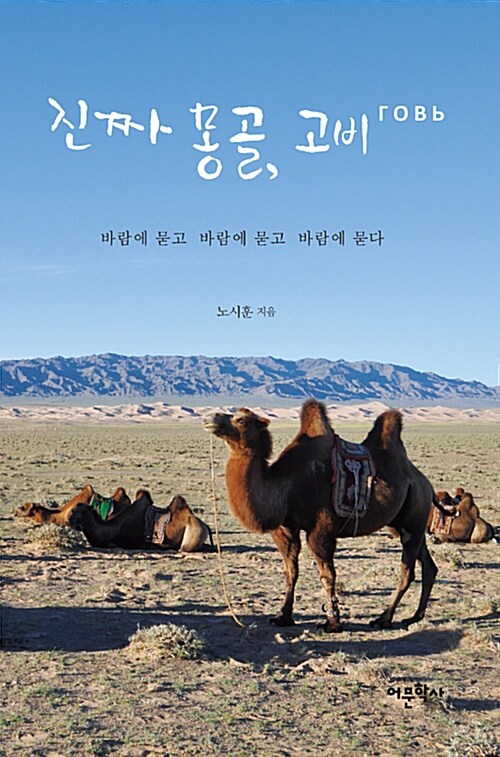 진짜 몽골, 고비- [전자책] : 바람에 묻고 바람에 묻고 바람에 묻다
