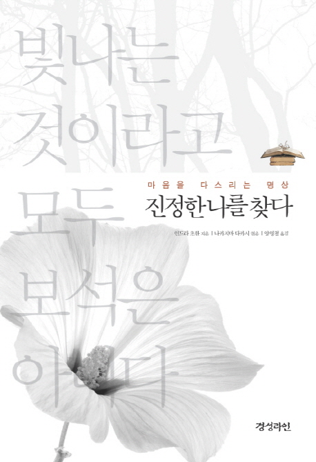 진정한 나를 찾다 : 마음을 다스리는 명상