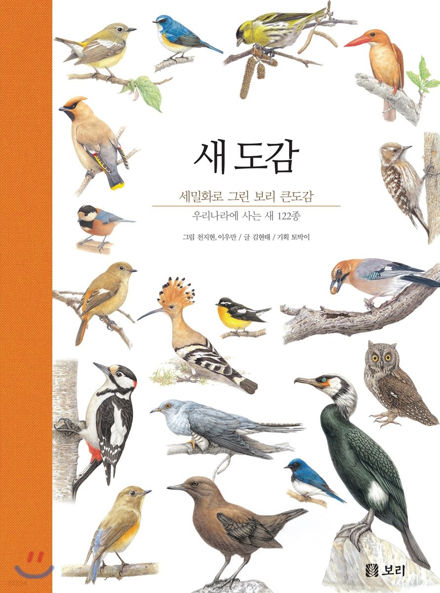 새 도감 : 세밀화로 그린 보리 큰도감 : 우리나라에 사는 새 122종 / 천지현 ; 이우만 [공]그림 ...