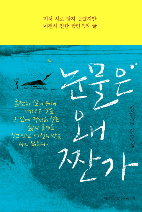 눈물은 왜 짠가 : 함민복 산문집