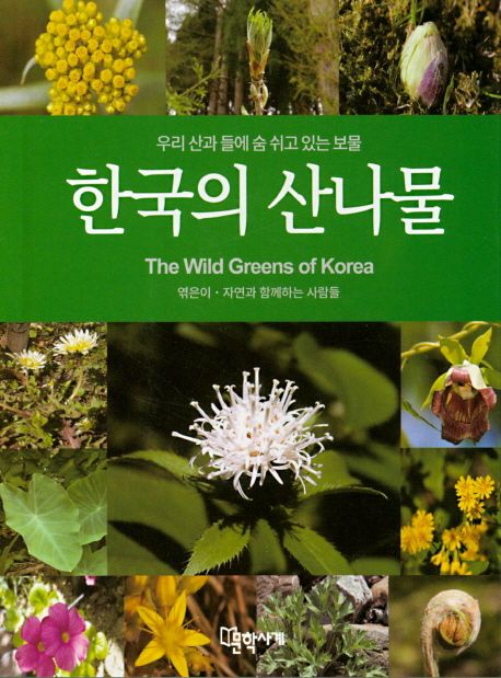 한국의 산나물 (우리 산과 들에 숨 쉬고 있는 보물)