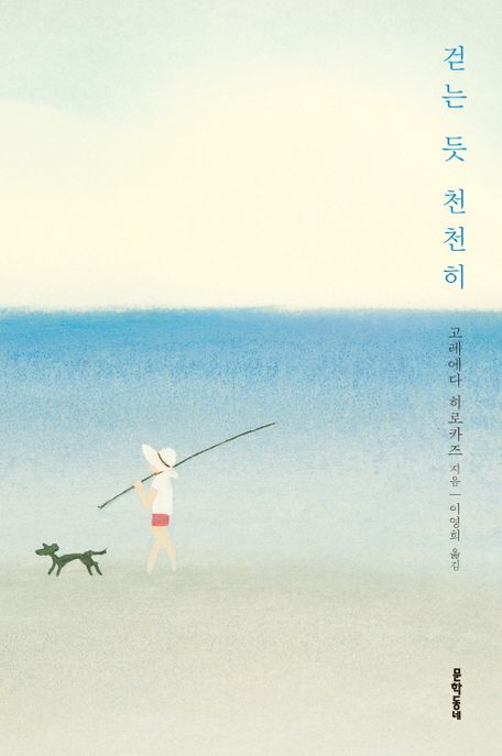 걷는 듯 천천히 표지